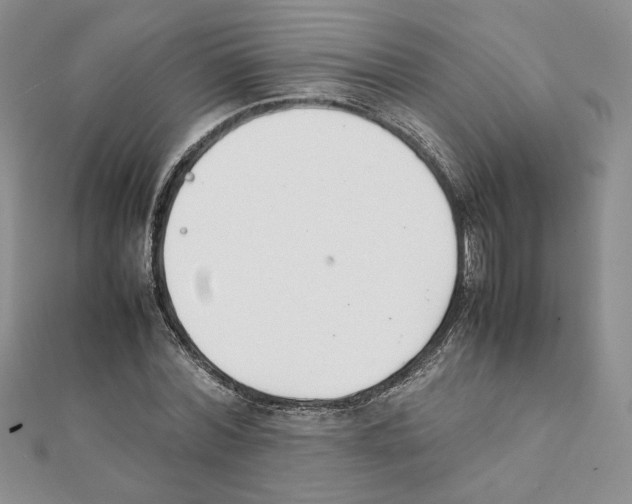 X0000111350780200908211233