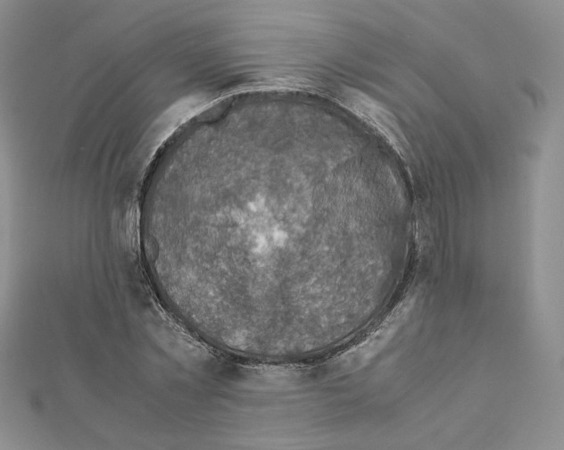 X0000111350781200908211233