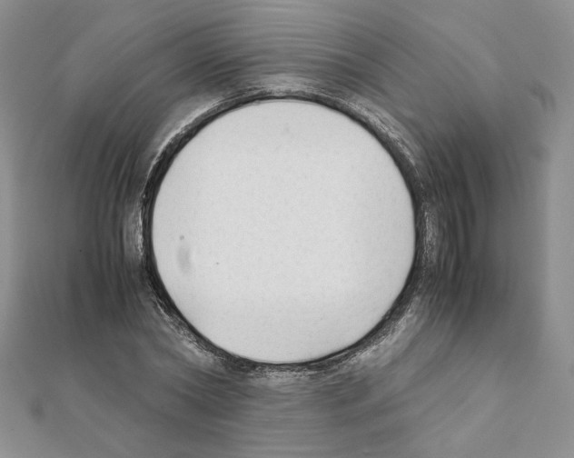 X0000111350782200908211233