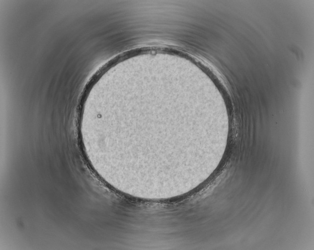 X0000111350783200908211233