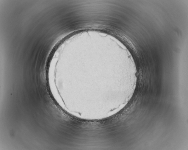 X0000111350784200908211233