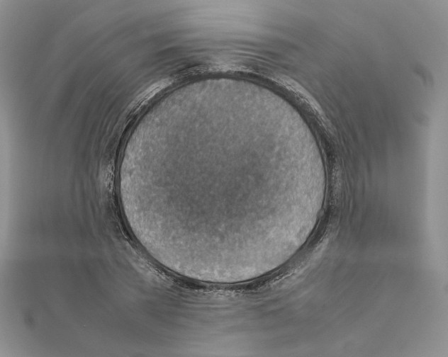 X0000111350785200908211233