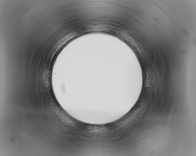 X0000111350786200908211233