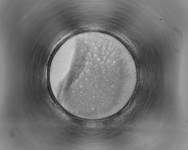 X0000111350790200908211233