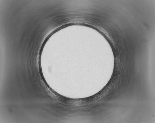 X0000111350791200908211233