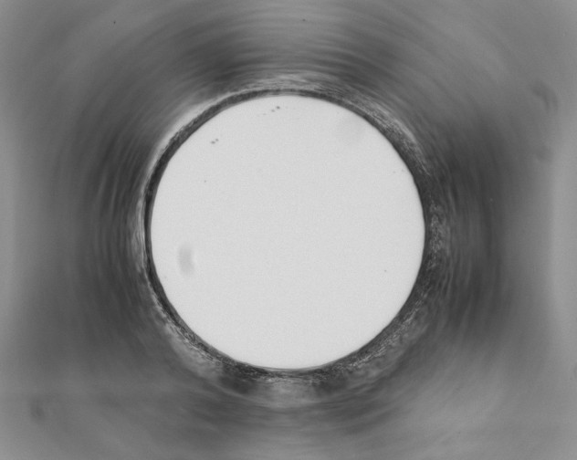 X0000111350792200908211233