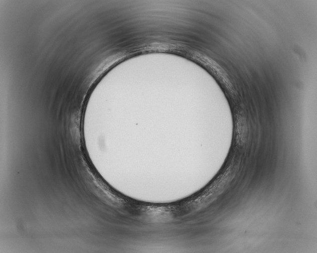 X0000111350794200908211233