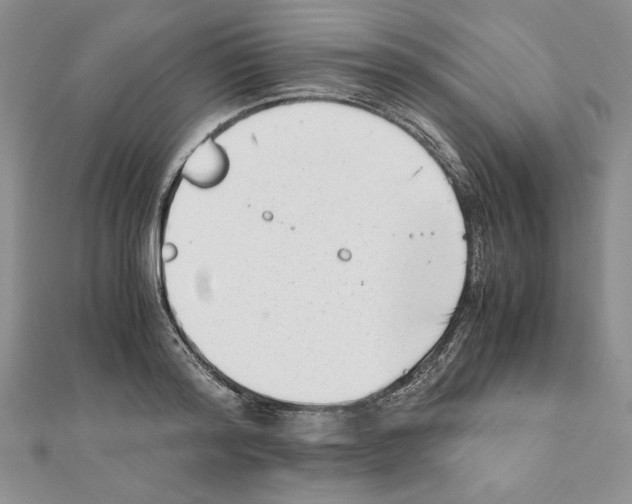 X0000111350796200908211233