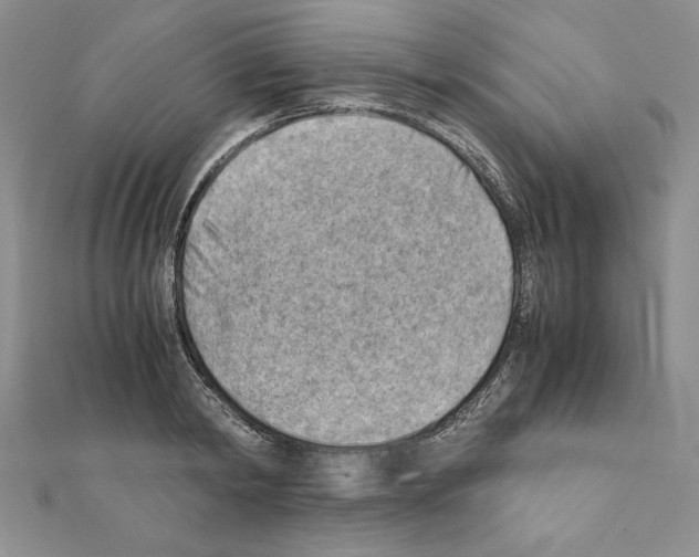 X0000111350798200908211233