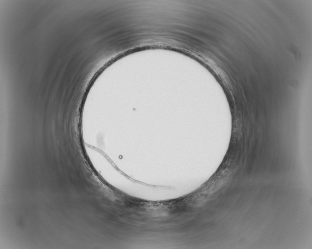 X0000111350799200908211233