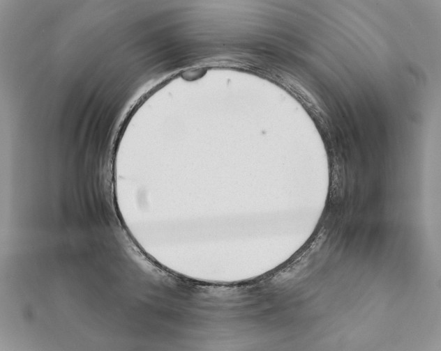 X0000111350800200908211233