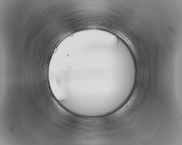 X0000111350801200908211233