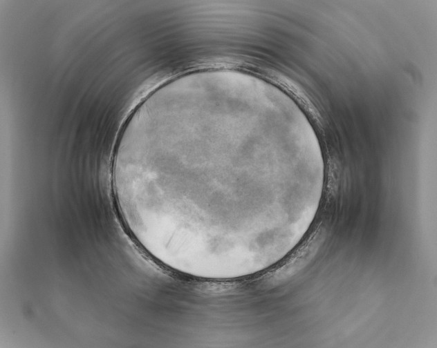 X0000111350802200908211233