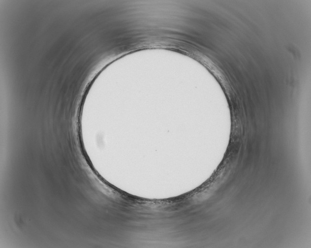 X0000111350803200908211233