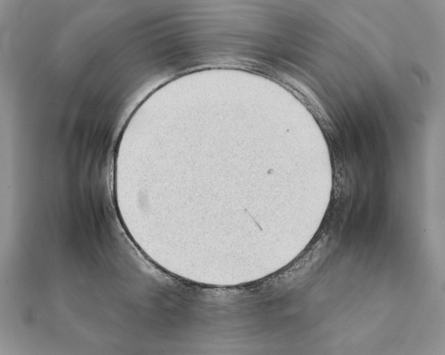 X0000111350804200908211233