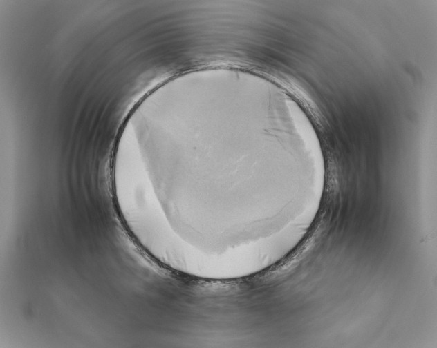 X0000111350806200908211233