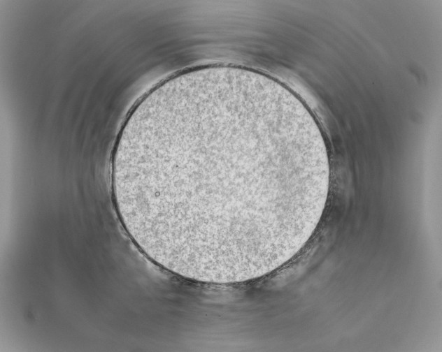 X0000111350807200908211233
