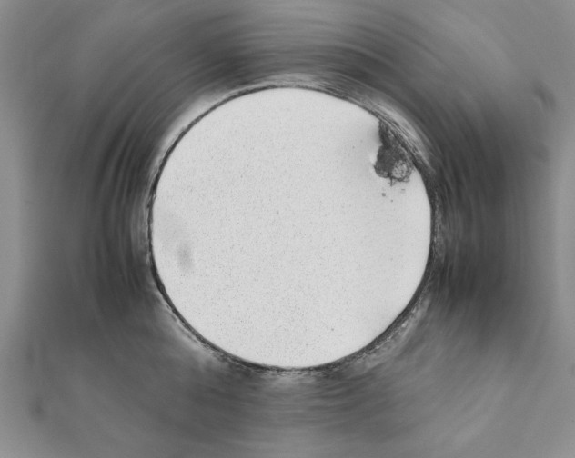 X0000111350808200908211233