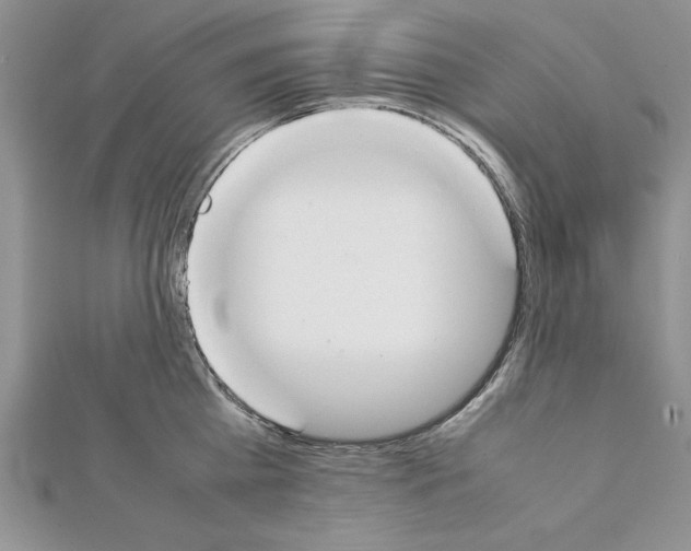 X0000111350809200908211233
