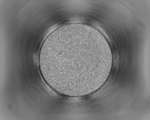 X0000111350810200908211233