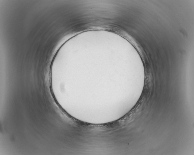 X0000111350811200908211233