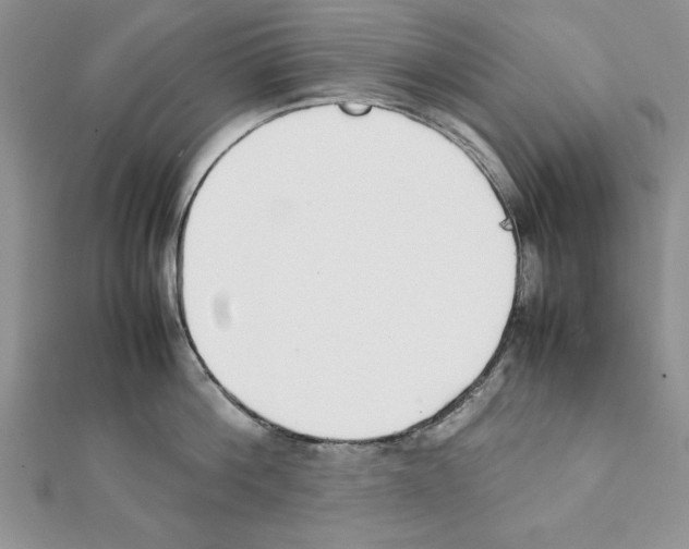 X0000111350812200908211233