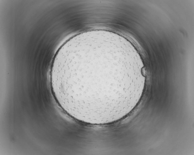 X0000111350814200908211233