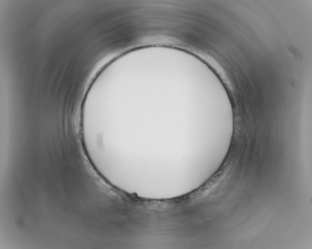 X0000111350815200908211233