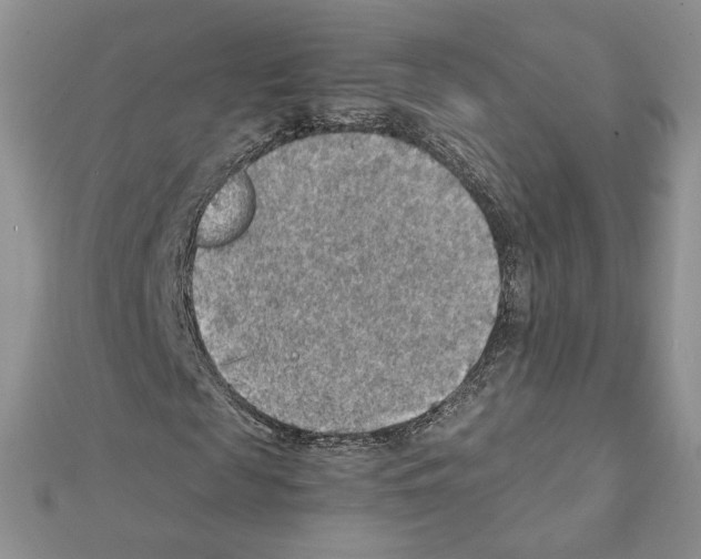 X0000111350817200908211232