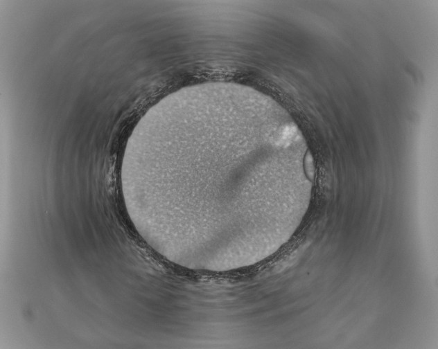 X0000111350818200908211232