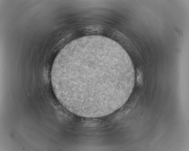 X0000111350819200908211232