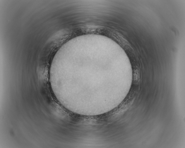 X0000111350820200908211232