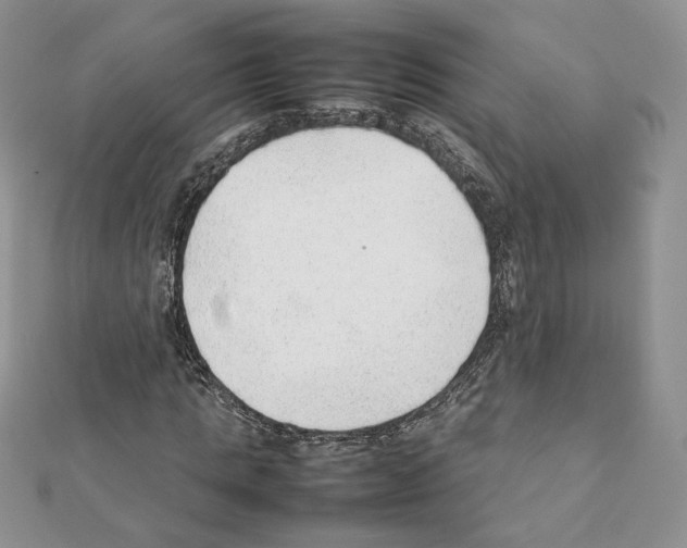 X0000111350821200908211232