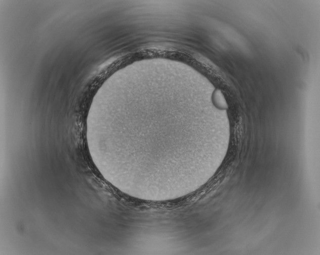 X0000111350822200908211232