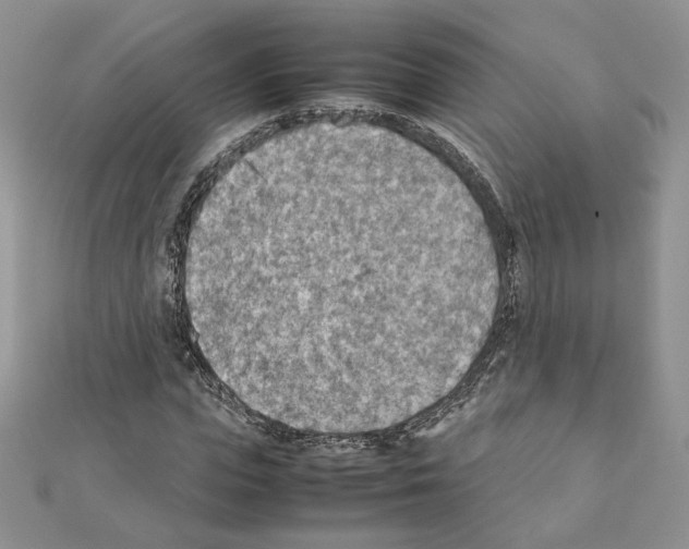 X0000111350823200908211232