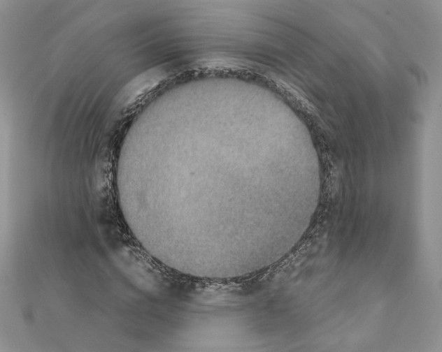 X0000111350824200908211232