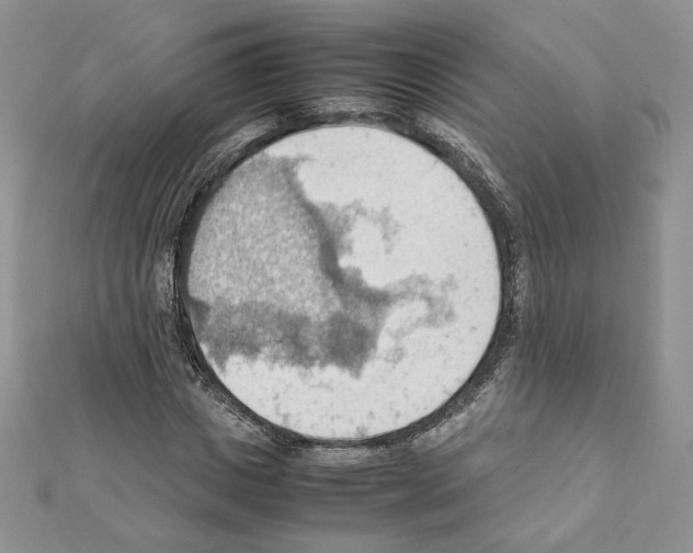 X0000111350825200908211232