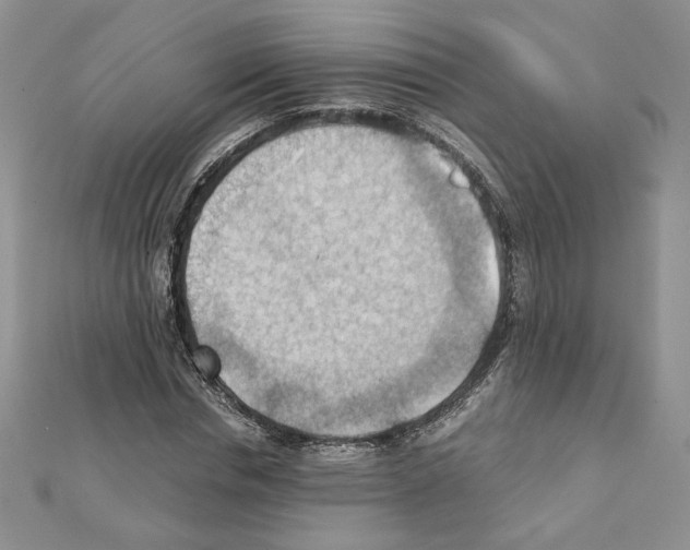 X0000111350826200908211232