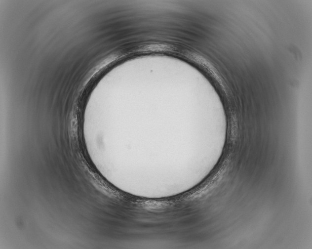 X0000111350827200908211232