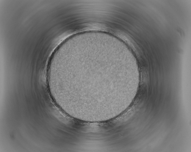 X0000111350828200908211232