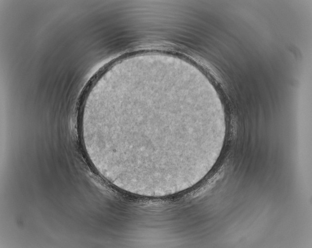 X0000111350830200908211232