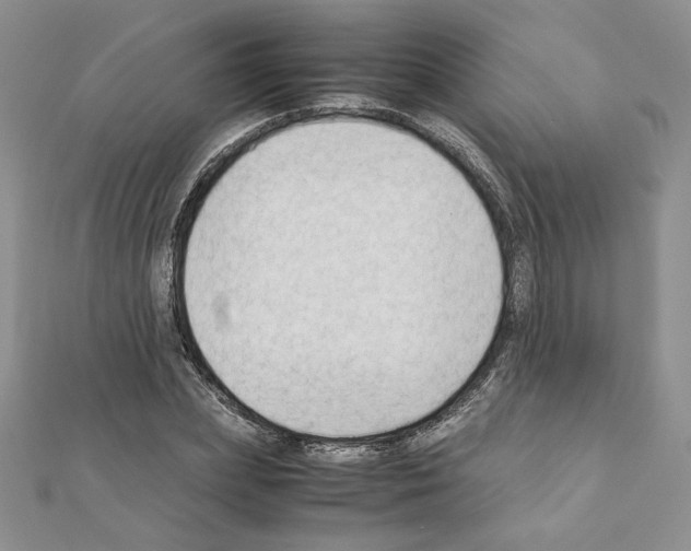 X0000111350831200908211232