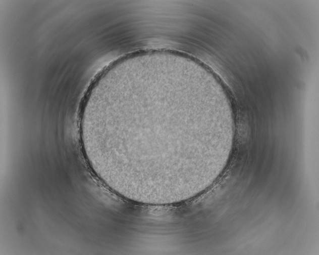 X0000111350832200908211233