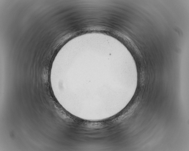 X0000111350833200908211233