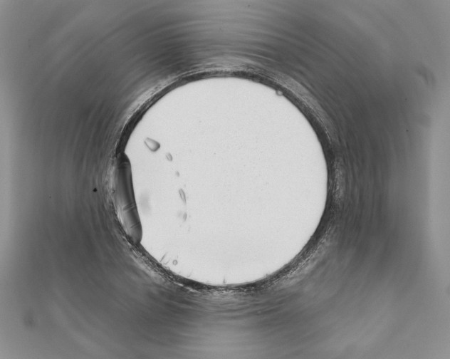 X0000111350834200908211233