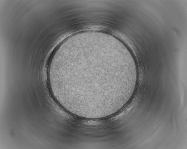 X0000111350835200908211233