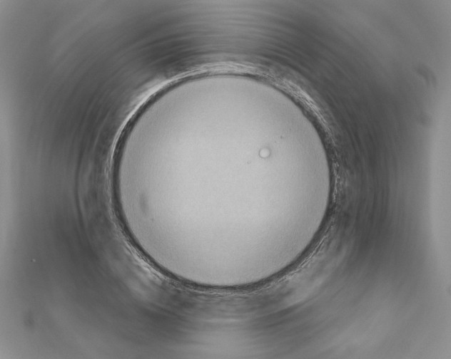 X0000111350836200908211233