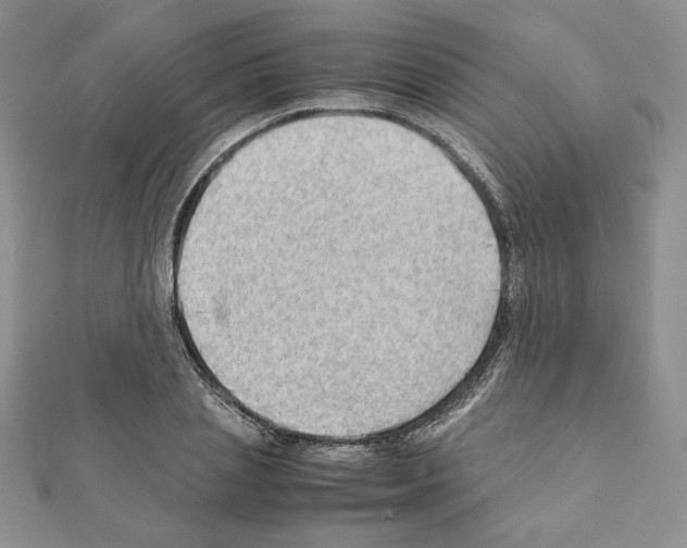X0000111350837200908211233