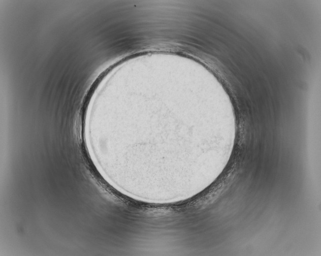 X0000111350838200908211233