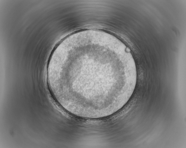 X0000111350840200908211233